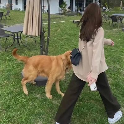 连环情杀案